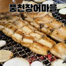 대가풍천장어 | 경기도 광주 초월읍 지월리 맛집 풍천장어마을 내돈내산 후기