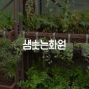 샘솟는화원 - 강화군 연미정길36번길 49 | 샘솟는화원