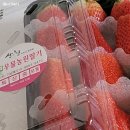 장희농장 네이버블로그