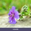 연천군 군남면 황지리 | 연천요양원 시온요양원 시설 환경과 돌봄 서비스 비교 포인트