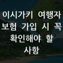 호텔비자비 | 이시가키 여행자 보험 가입 시 꼭 확인해야 할 사항