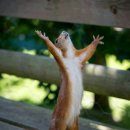 달서복싱 이미지