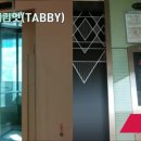 중흥엘리베이터(주)