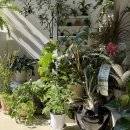 송내대로27번길 이미지