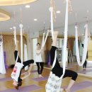나인요가 뉴스엔