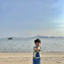 Dragon Park 이미지