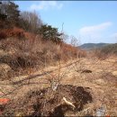 고령농장 이미지