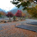 고향펜션캠핑 이미지