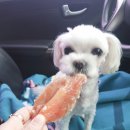 아주커치킨 첨단3점 이미지