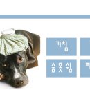 우람동물병원 이미지