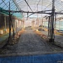 군서농장 이미지