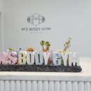 엠스바디짐 이미지