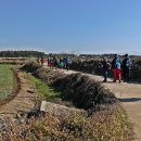 간세다리 이미지