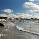 제주테우문화 이미지