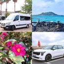 카니발 | 제주도 쏠라티 렌트 제주 카니발 렌트 제주 관광 후기