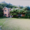 녹색향기 펜션 이미지