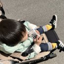 수봉봉키즈카페 이미지