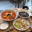 망고 애견 이미지