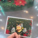 궁중목욕탕 | 상경계열 석사과정 대학원생의 소소한 일상 기록 - 43 <2기 14주차, 선택> (25.12.01 - 25.12.07)