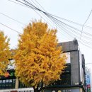 글라스월드 역곡점 이미지