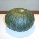 죽마을지산점 이미지