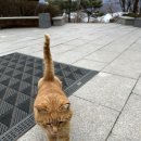 청주시립대청호미술관 | 청주 전시 청주시립대청호미술관 <플라스틱 다큐멘터리>