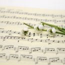 수도국제대학원대학교 이미지