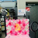 개밥하우스 이미지