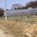 의료법인 힐링의료재단 옥천성모병원 이미지