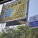 오동나무수상레저