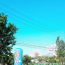 신천자연 낚시터 이미지