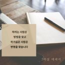 명동 인셀덤 이미지