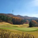 금호리조트(주)아시아나파3골프클럽 | 아시아나CC 회원권 최신 가격과 골프 정보