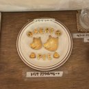 가은미트 이미지