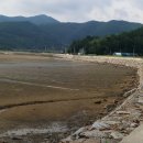 골약초교 이미지