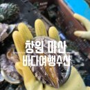 [창원]마산 남성동 싱싱한 해산물 맛집 바다여행수산 해산물 포장 추천 새우 비스크