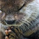 쁘띠모아 이미지