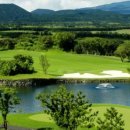 그린필드 이미지