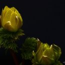 올드타임 이미지