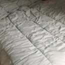 향기나는 세탁나라 이미지