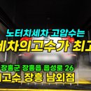 세차의 고수 장흥 남외점