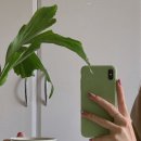 피터패트 네이버블로그