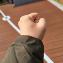 동탄7동행정복지센터 다목적실 이미지