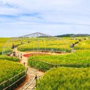 동헌농장 이미지