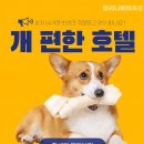 지에스25 송도마리나베이점 | 속초 마리나베이 호텔-조식·수영장·애견동반·청초호 뷰 가성비숙소