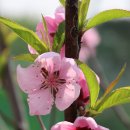 까치울역 이미지