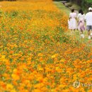 황화농장 이미지