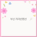 자연카라반펜션