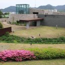 박수근미술관 Daum카페