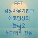 경이와 통찰 : 위대한 연구는 무엇으로 시작되는가? | EFT 감정자유기법과 에코명상의 놀라운 뇌과학적 진실 - 최면센터 지안